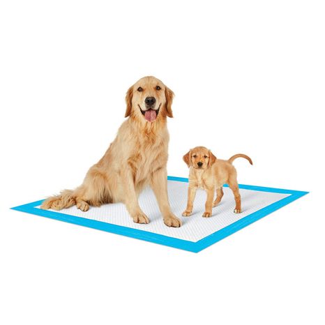So Phresh Extra Large Leak Guard Dog Potty Pads