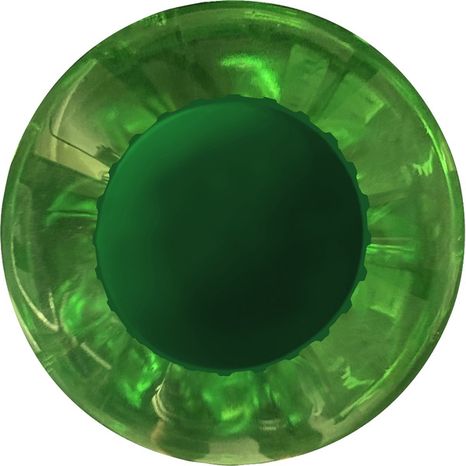 Canada Dry Ginger Ale Soda, 20 fl oz bottle