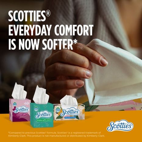 Scotties Facial Tissue Everyday Comfort, 2-Ply, 1 Box