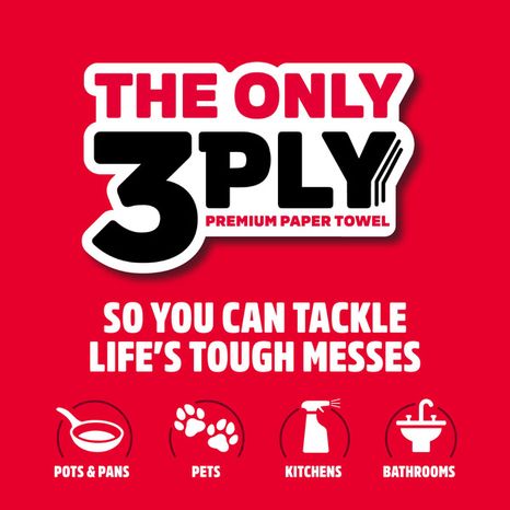 BRAWNY Pick-A-Size Paper Towels, 6 Double Rolls
