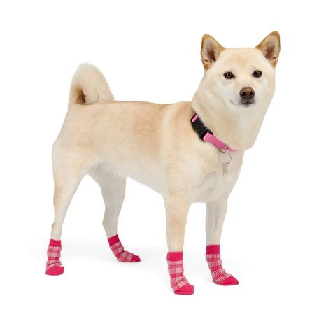 Dog Socks