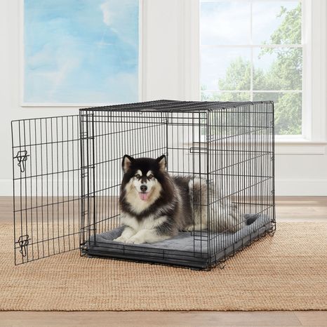 Top Paw Single Wire Door Folding Dog Crate, 48 x 30 x 32 in