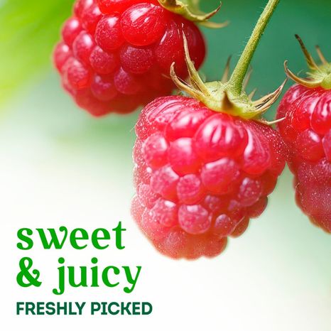 Fresh Organic Red Raspberries