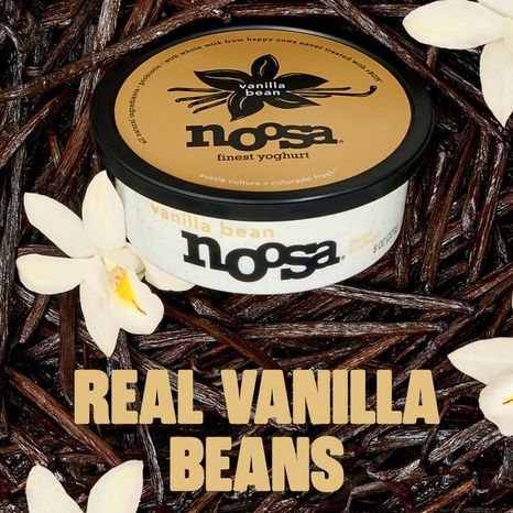 Noosa Vanilla Bean Yoghurt