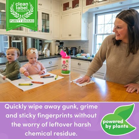 Dapple Baby All Purpose Wipes