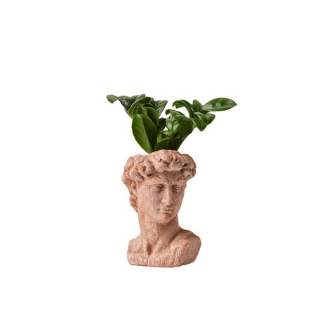 LiveTrends Summer Collection Ceramic Pot - Florentine - Greenhouse Picks