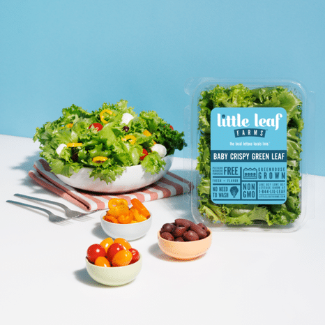 Little Leaf Farms Baby Crispy Green Leaf