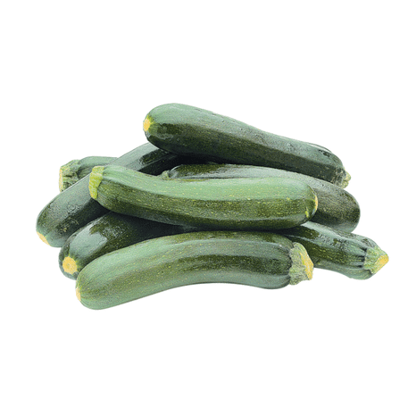 Zucchini Squash