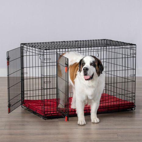 Kong Ultra-Strong Double Door Wire Dog Crate with Divider Panel