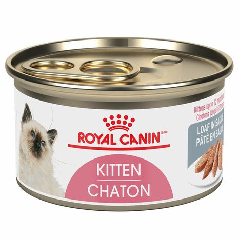 Royal Canin® Cat Food, Loaf in Sauce, Kitten