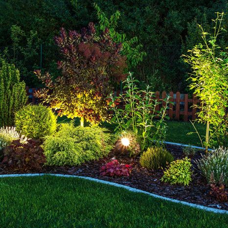 Feit Electric Light Bulb, LED, Warm White, 2 Watts, Landscape Lighting