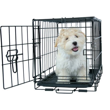 Play On Single Door & 1 Handle Dog Crate