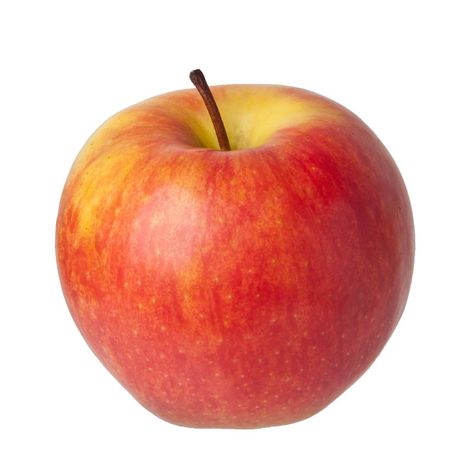 Honeycrisp Apple