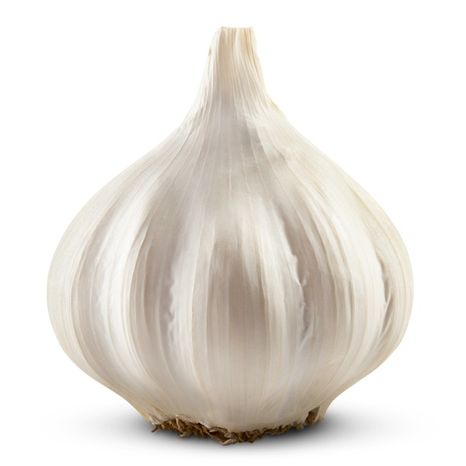 Organic Garlic