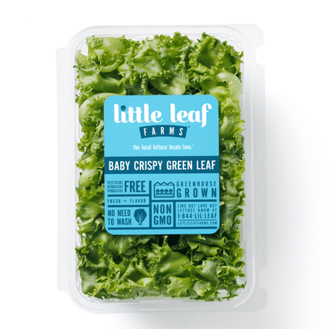 Little Leaf Farms Baby Crispy Green Leaf Lettuce