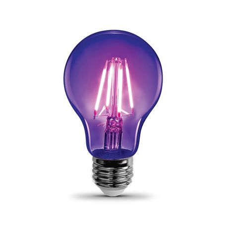 Feit Electric A19 LED Filament Black Lightbulb