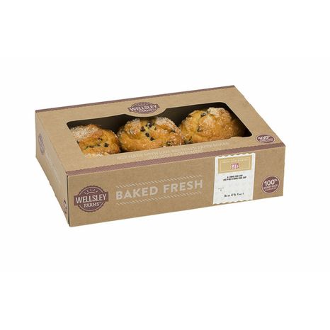 Wellsley Farms Chocolate Chip Muffin