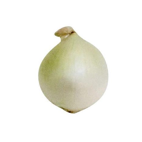 White Jumbo Onions
