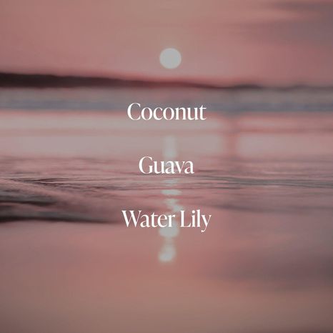 Saltair Coral Coast Serum Infused Nourishing Body Wash