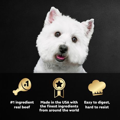 Cesar Loaf & Topper Soft Wet Dog Food Beef Flavor with Bacon & Cheese, 3.5 oz. Tray