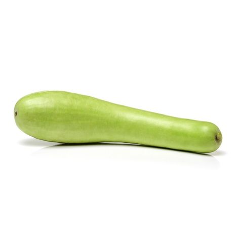 Organic Italian Squash