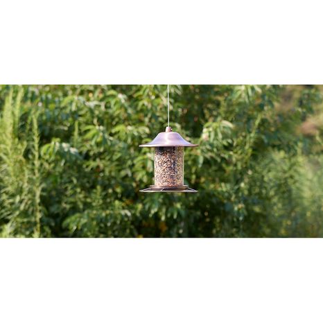 Red River Commodities Hello Birds Morning Bird Blend Bird Seed
