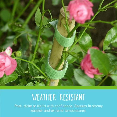 Velcro Garden Ties - Green - 50' x 1/2"
