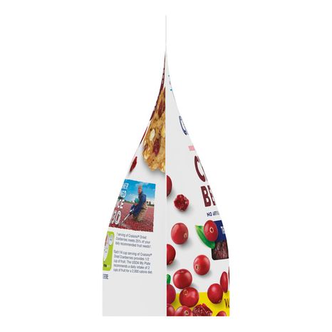 Ocean Spray Dried Cranberries