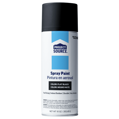 Project Source Economy Spray Paint - Flat Black