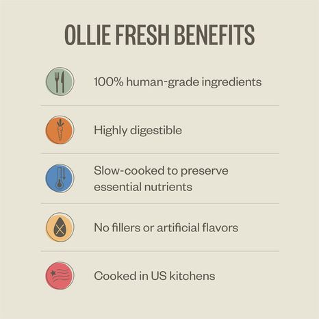 Ollie Beef Dish With Sweet Potatoes Dog Food