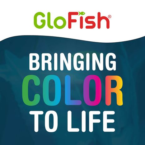 Tetra Glofish Sand With Highlights