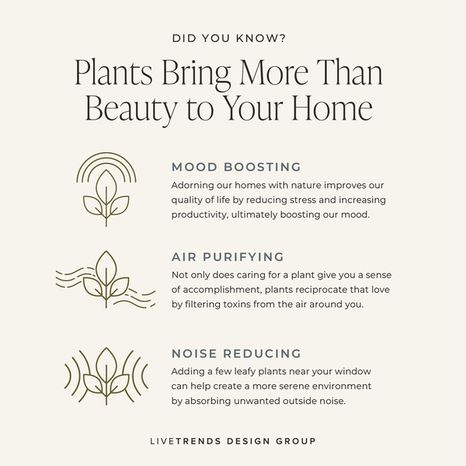 LiveTrends Summer Collection Ceramic Pot - Florentine - Greenhouse Picks