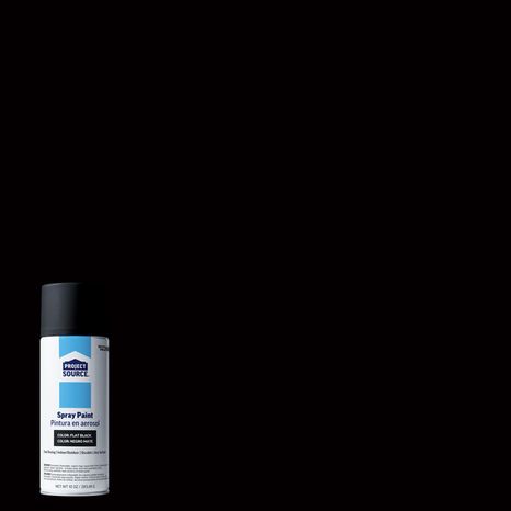 Project Source Economy Spray Paint - Flat Black