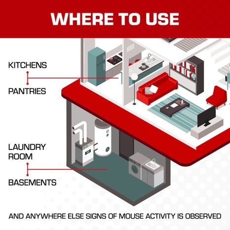 Tomcat Super Hold Glue Mouse Traps