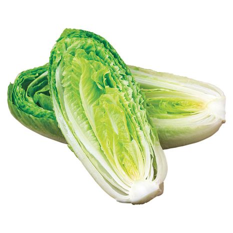 Romaine Lettuce Hearts
