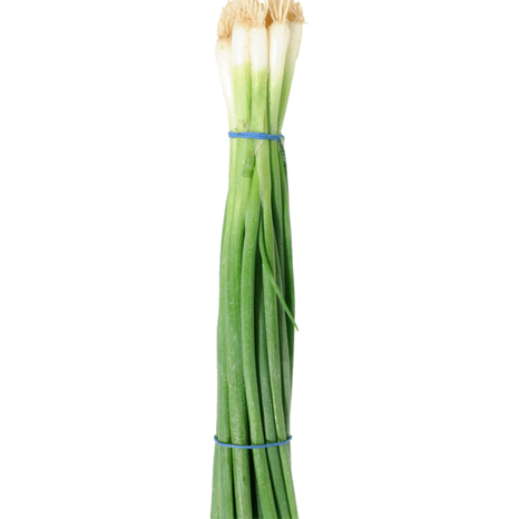 Green Onions (Scallions) Bunch