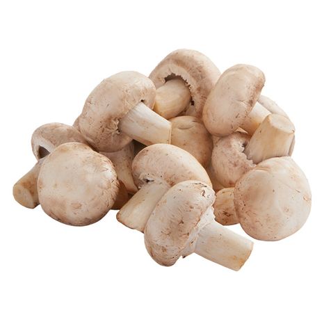 White Mushroom