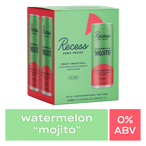 Recess Craft Mocktail Watermelon "Mojito"