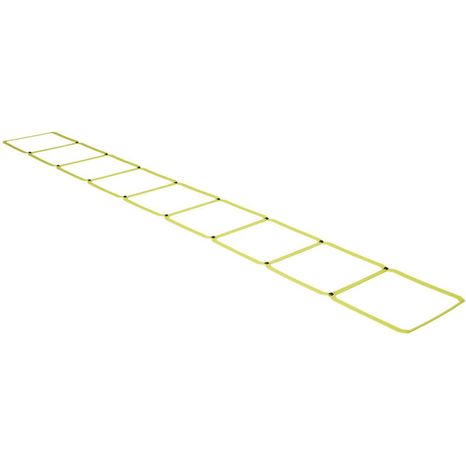 Ethos Agility Ladder