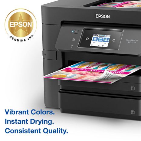 Epson T702520-S DURABrite Ultra Ink Cartridge