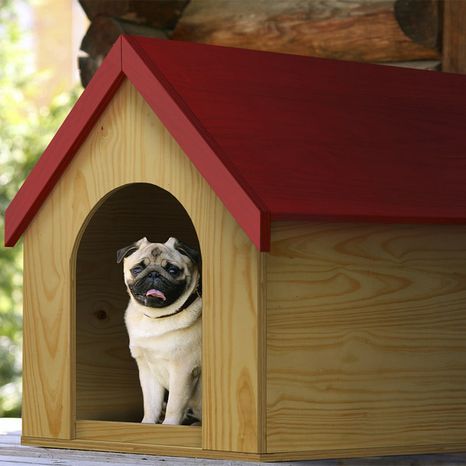 Lowe's Pine Sanded Plywood - 23/32'' x 2' x 2'