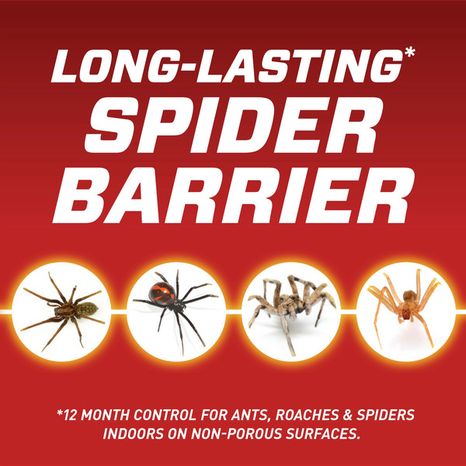 Ortho Insect Killer, for Indoor & Perimeter