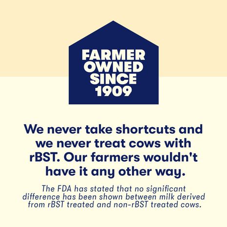 Tillamook Farmstyle Medium Cheddar Cheese Slices, 8oz, 9ct