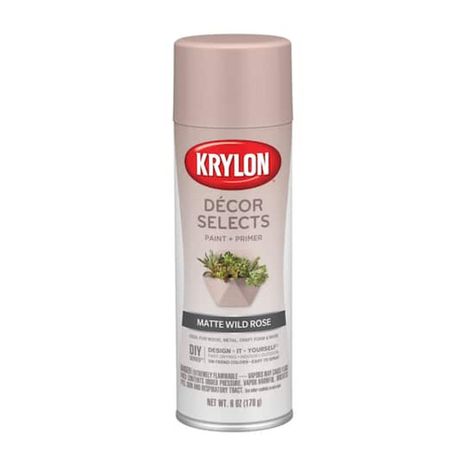Krylon Decor Selects Matte Paint & Primer