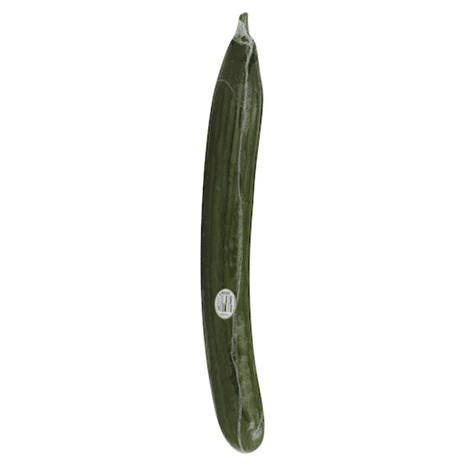 Seedless Cucumbers