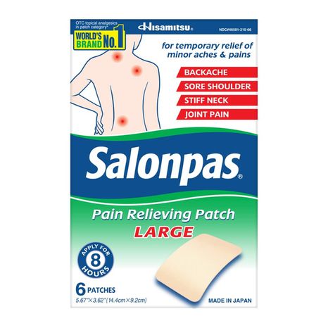 Salonpas Pain Relieving Patch Large