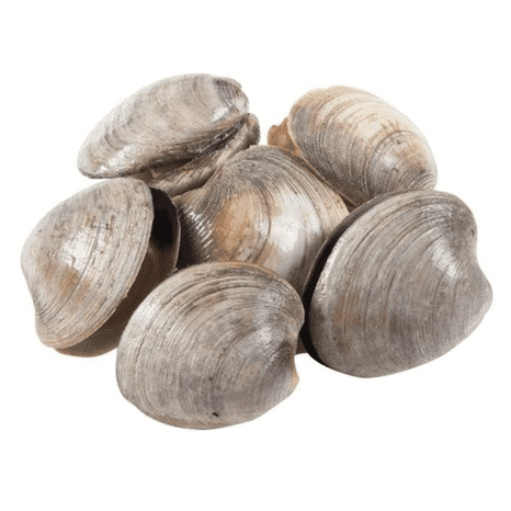USA Wild Little Neck Clams