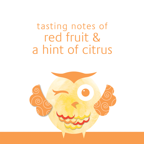 Winking Owl Sangria Sweet Wine