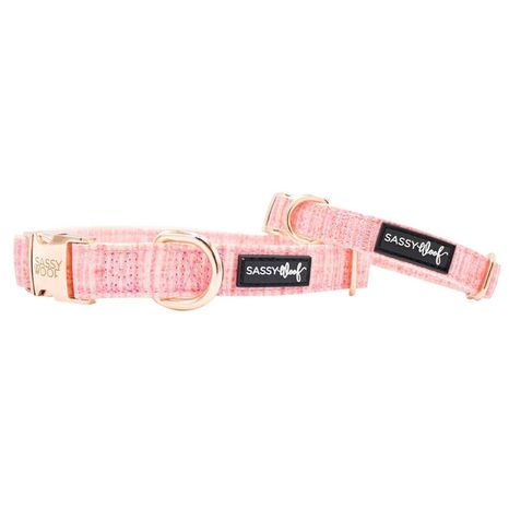 Sassy Woof Dog Collar, Small - Dolce Rose