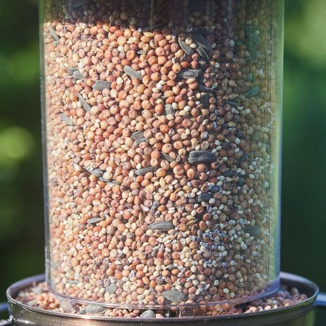 Red River Commodities Hello Birds Wild Bird Seed Ready-to-Use Bird Seed